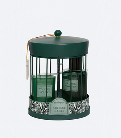 Citrus & Ginger Diffuser & Candle Set