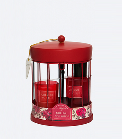 Berries Scent Diffuser & Candle Set