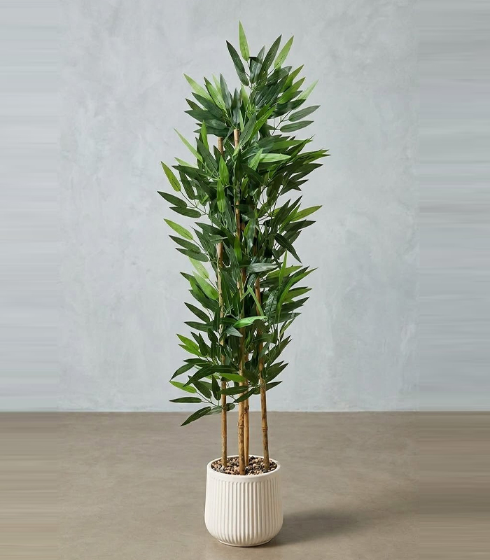 Artificial Plant with Plastic Pot Artificial Plant with Plastic Pot
