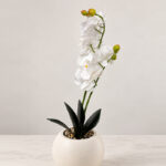 Artificial Orchid Plant with Plastic Pot