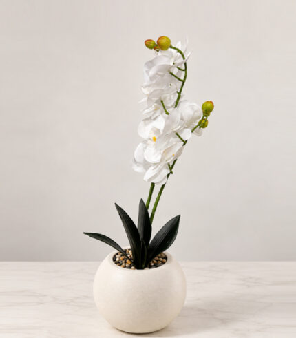 Artificial Orchid Plant with Plastic Pot